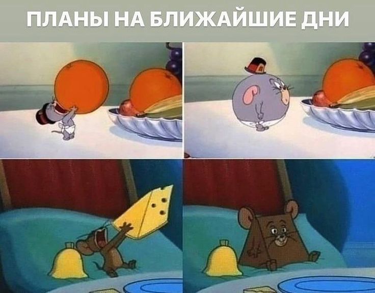 Выжить после долгих выходных: пошаговый план и рекомендации
