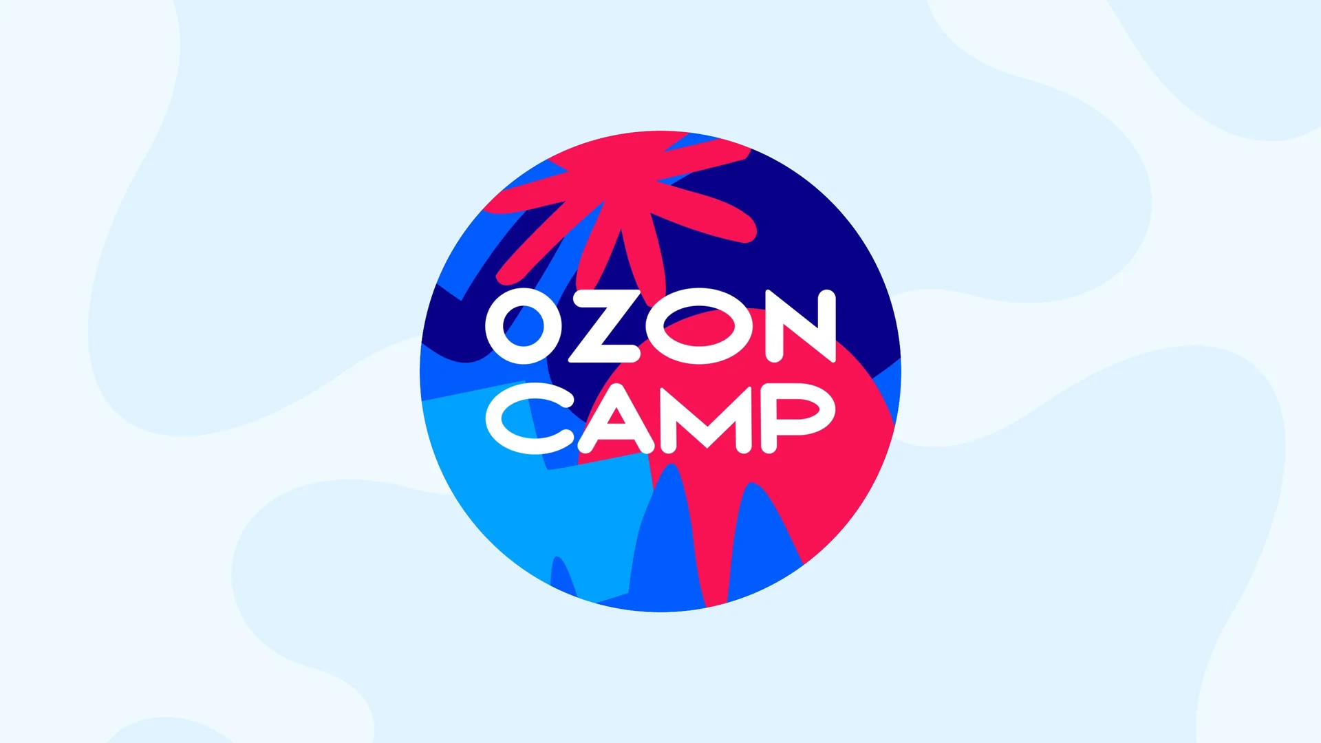 кейс startexam ozon camp