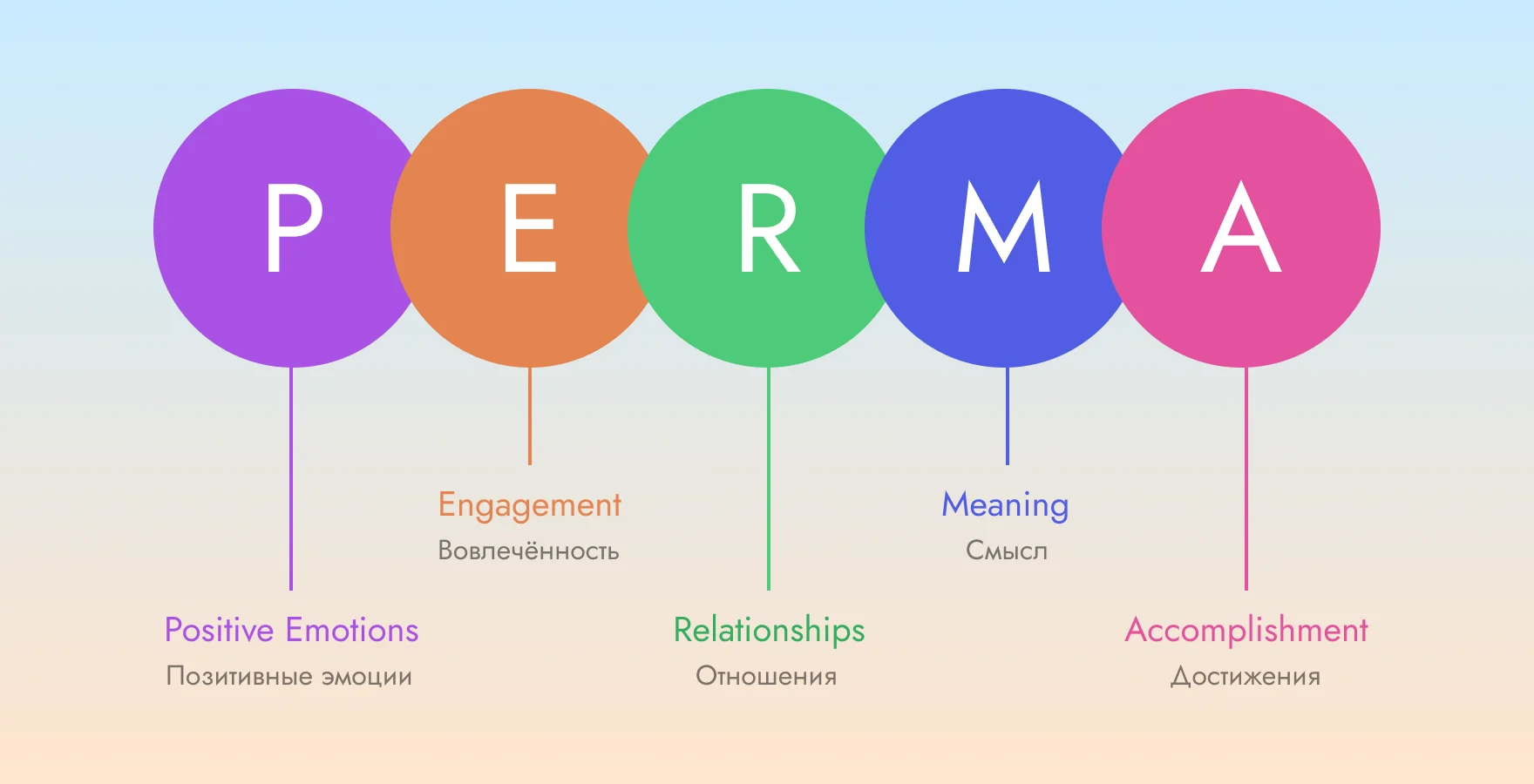 расшифровка модели perma